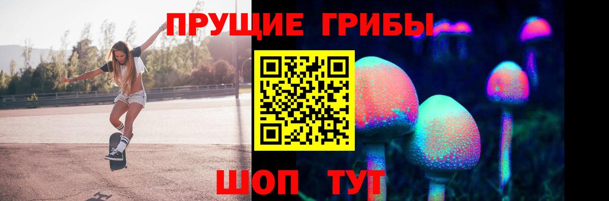 Галлюциногенные грибы Psilocybe Арзамас