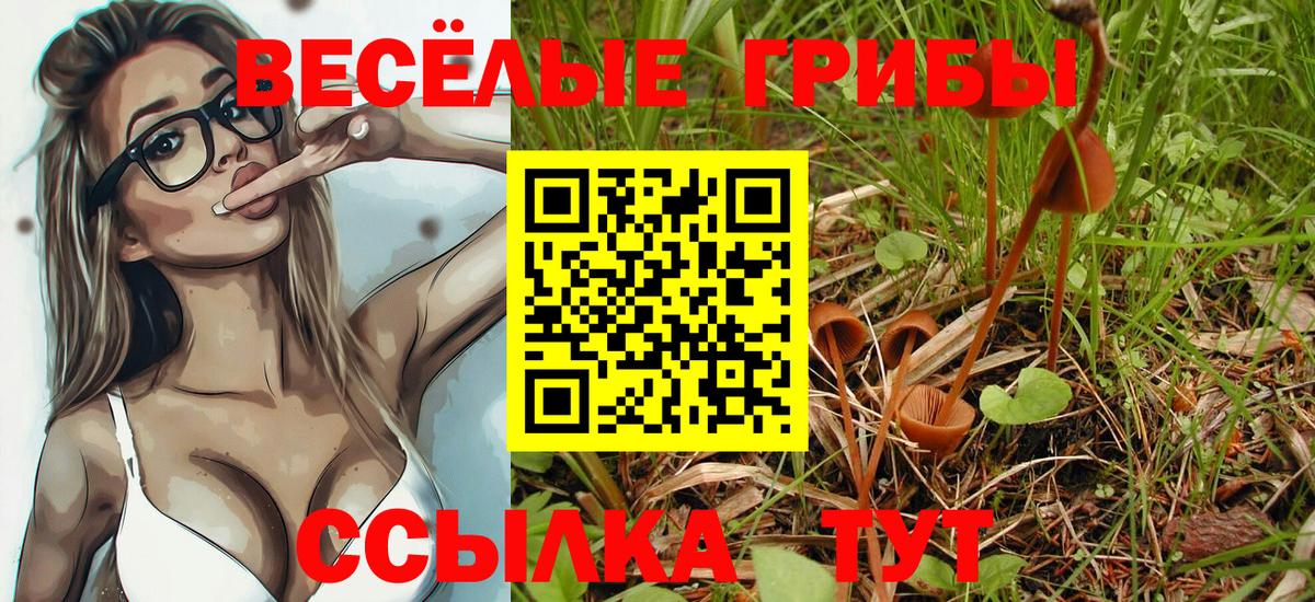 Галлюциногенные грибы Psilocybine cubensis  как найти   Арзамас  Вход с VPN 