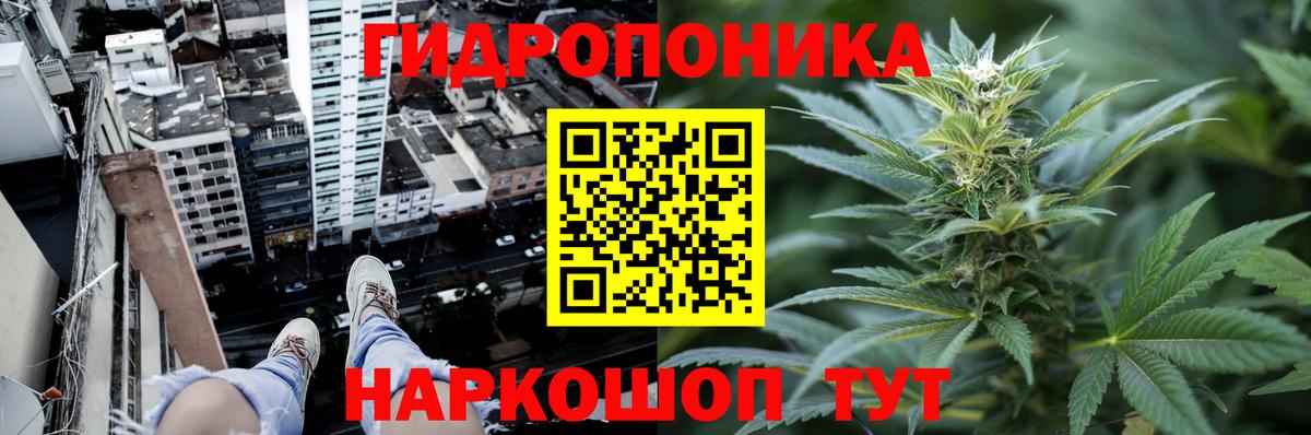 Конопля OG Kush Арзамас